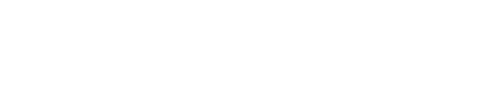 SoBigData RI Logo